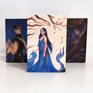 The Cruel Prince dust jackets